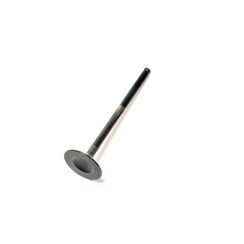 EXHAUST VALVE