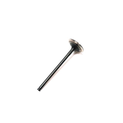 VALVE,EXHAUST