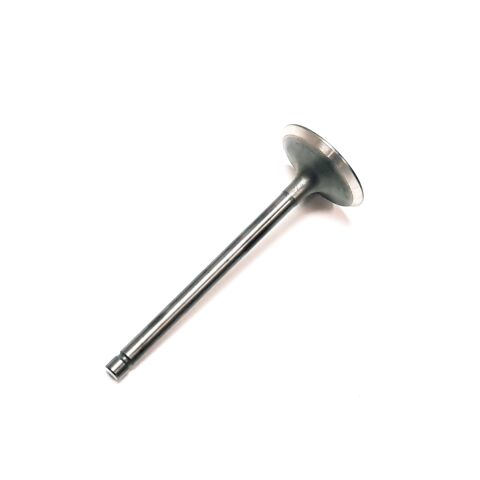 INTAKE VALVE