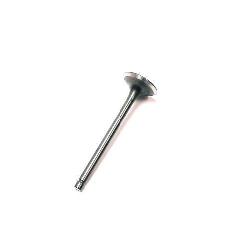 EXHAUST VALVE