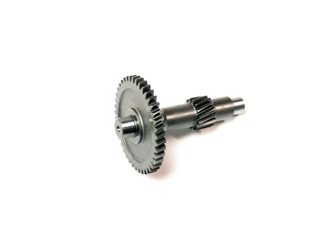 Reverse Gear Shaft Assembly