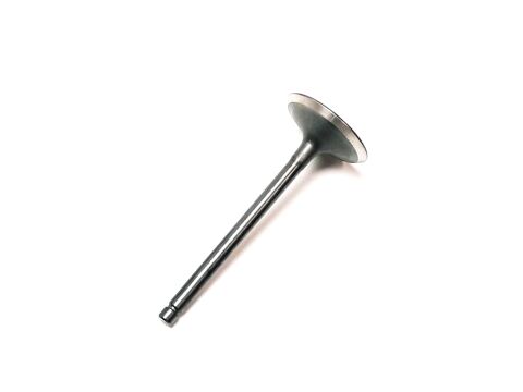 INTAKE VALVE