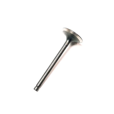 EXHAUST VALVE