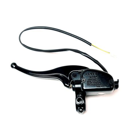 MASTER CYLINDER WITH BRAKE LEVER (SEE THE DETAIL ON P21A(1))
