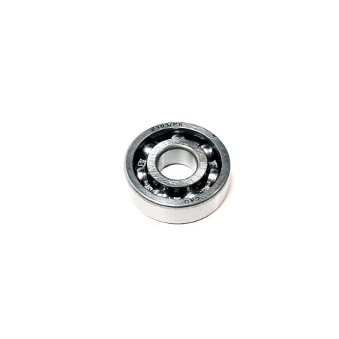Bearing 6303