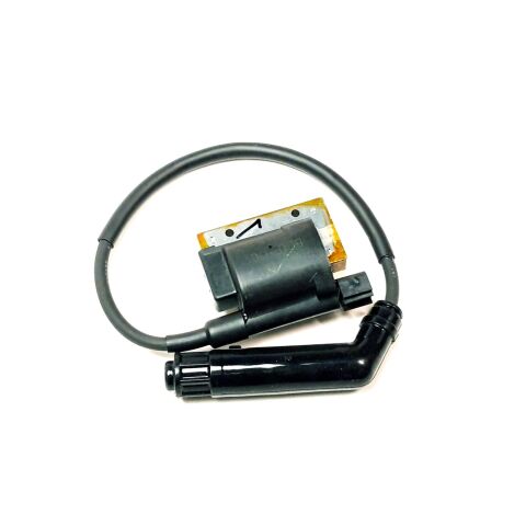 IGNITION COIL, F. CYN.