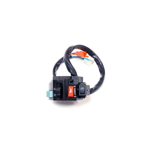 SWITCH ASSY（ONLY FOR EUROPE，Dipped headlight on）
