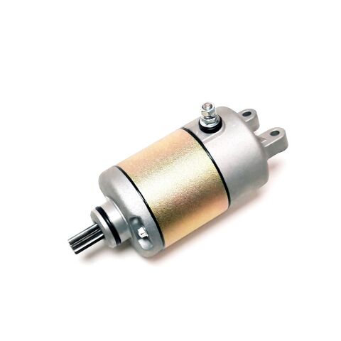 STARTING MOTOR ASSY