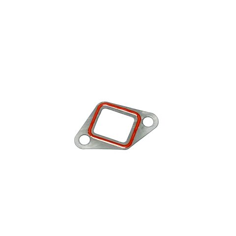 Gasket, Chain Tensioner