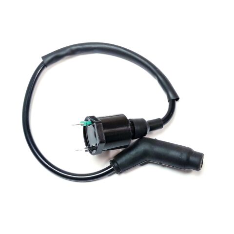 IGNITON COIL AND WIRE