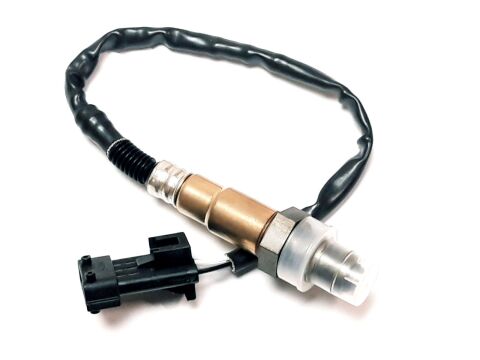 Oxygen Sensor