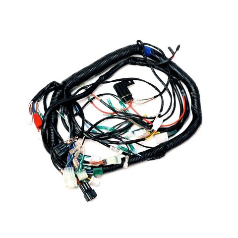 Main Wire Assy