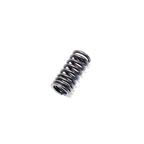 SPRING, VALVE INNER