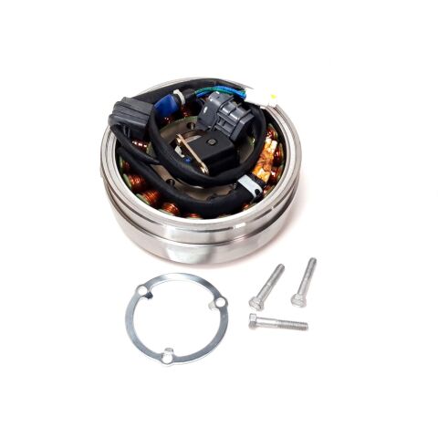 FLYWHEEL MAGNETO ASSY