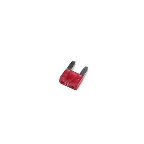 10 AMP Fuse