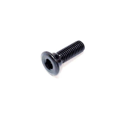 DISC BRAKE MOUNTING BOLT (BLACK)