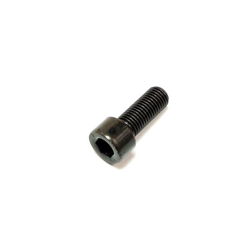 BOLT M10X1.25X25