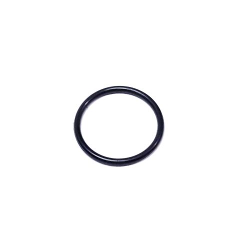 Sealing ring