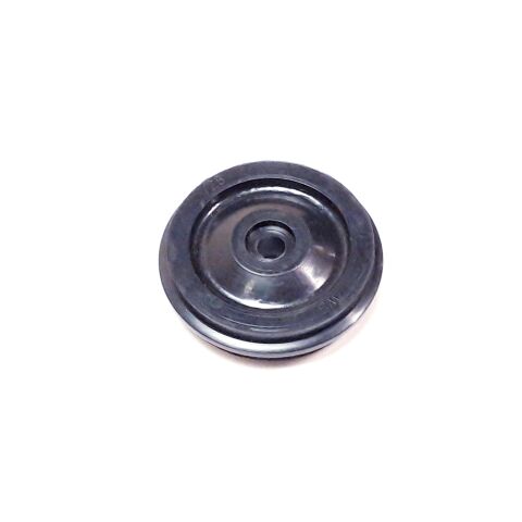 Chain guide wheel