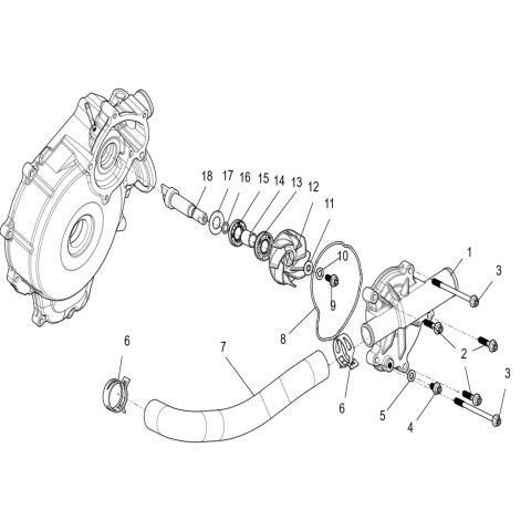 Water Pump assembly