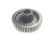 GEAR, STARTING IDLER (Item nr. 19)