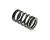 VALVE SPRING (Item nr. 23)