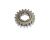 INTERMEDIATE GEAR 1 (Item nr. 1)