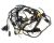 WIRING HARNESS(FOR EFI EUROPE) (Item nr. 1)