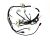 WIRING HARNESS（USED FOR EUROPE） (Item nr. 5)