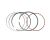 PISTON RING SET (FOR ATV300) (Item nr. 6)