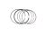 PISTON RING ASSY (Item nr. 25)