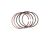 Piston ring assembly (Item nr. 5)